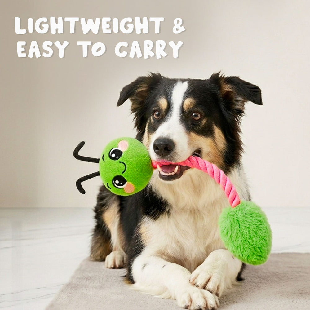 Caterpillar Rope Toy