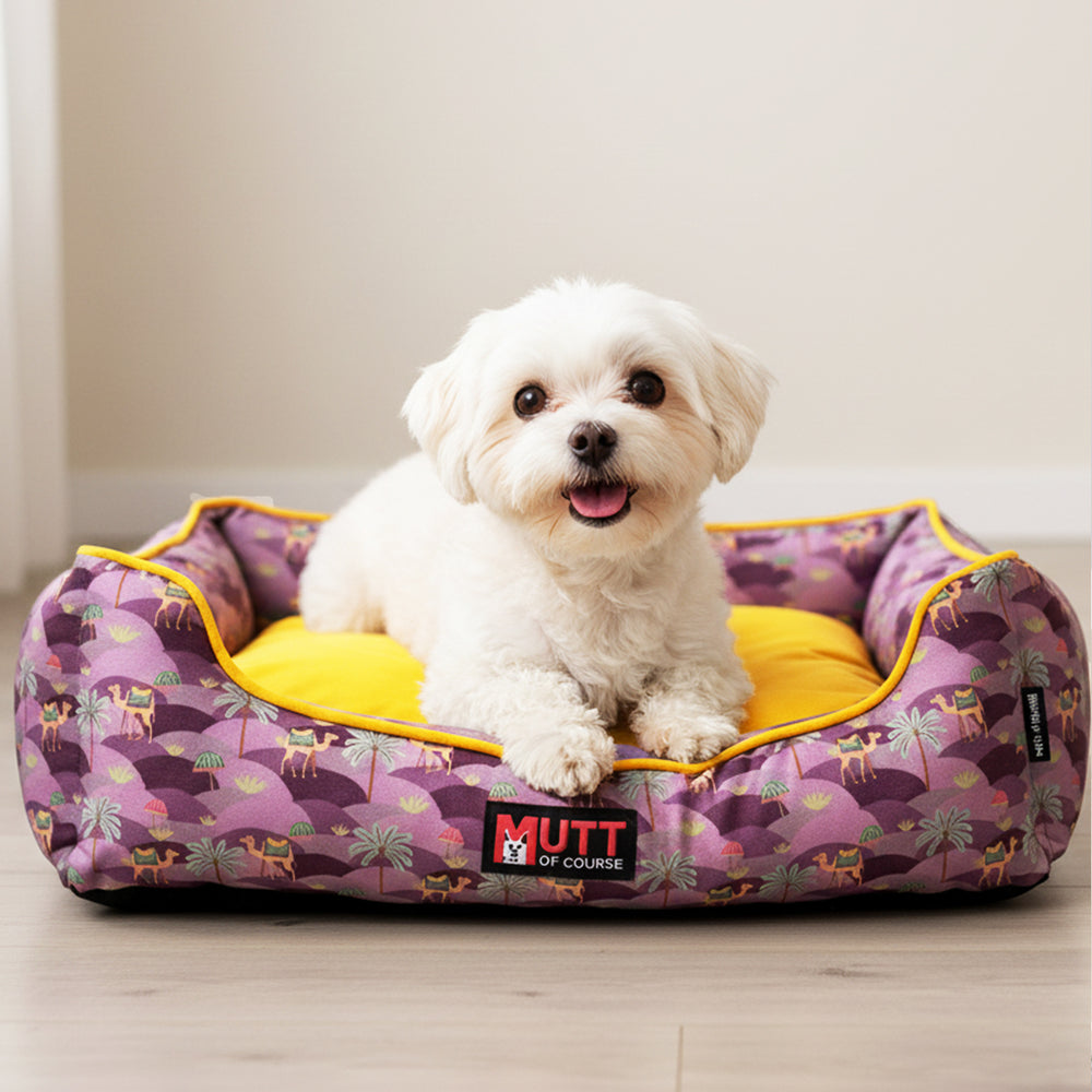 Royal Indian Camel Bed