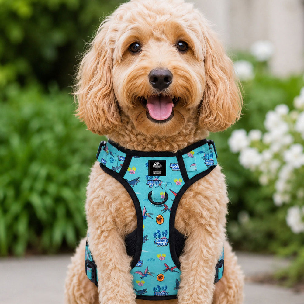 Jurassic Marine Dino Ruff N Tuff Dog Harness | Ocean Dinosaur Adventure Harness for Dogs