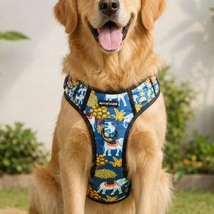 Royal Indian Elephant Ruff N' Tuff Harness