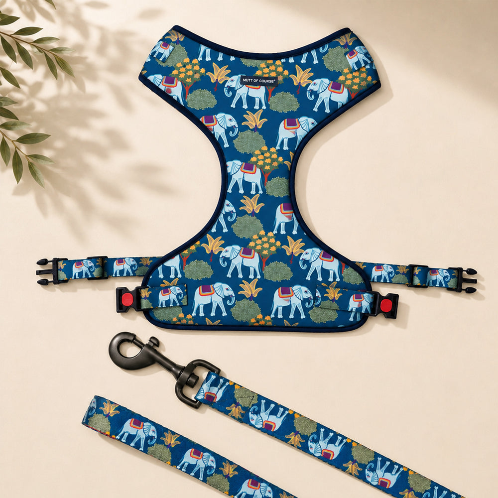 Royal Indian Elephant Vest Harness + Leash Set
