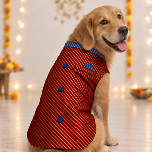 Banarasi Red Dog Sherwani | Royal Festive Wear Kurta (with cotton lining)
