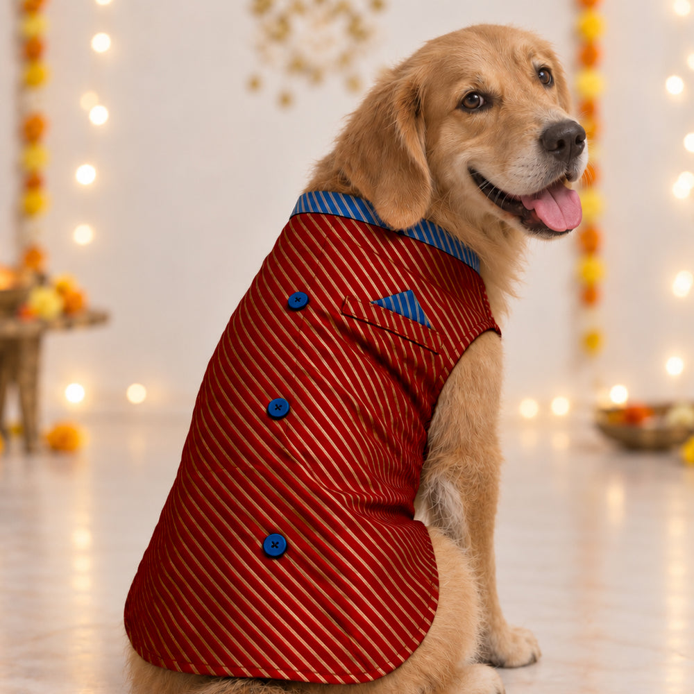 Banarasi Red Dog Sherwani | Royal Festive Wear (with cotton lining)
