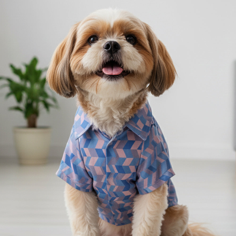 Light Geometrical Shirt