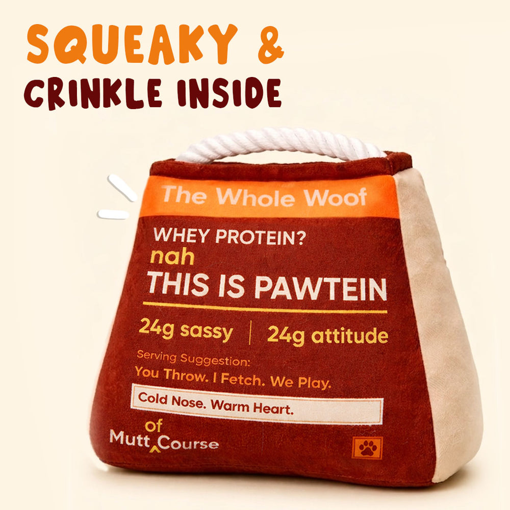 High Pawtein Dog Toy