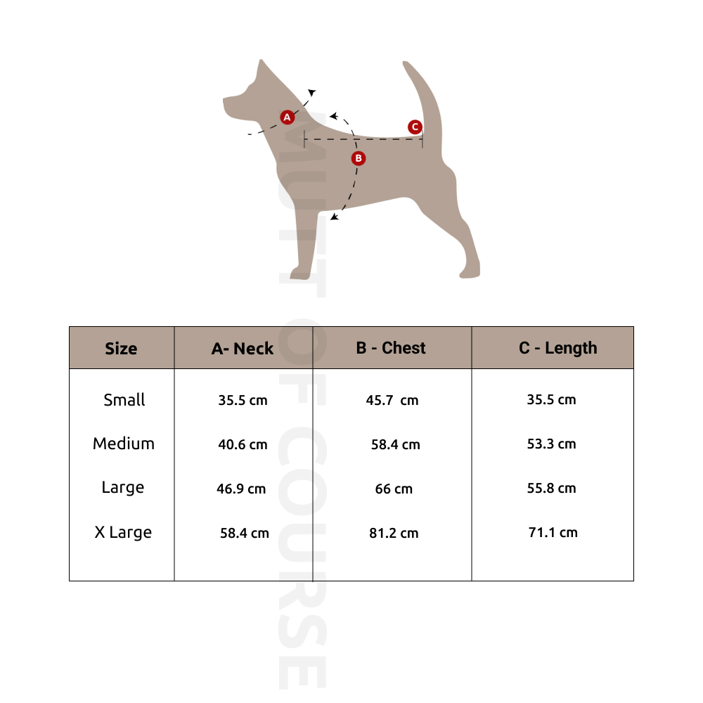 Jurassic Ready to Roarr Dog T-Shirt