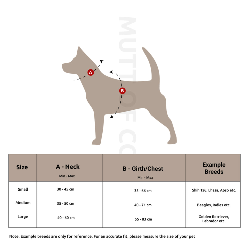 Jurassic Classic Ruff N Tuff Dog Harness – Dinosaur Adventure Strength Harness for Dogs