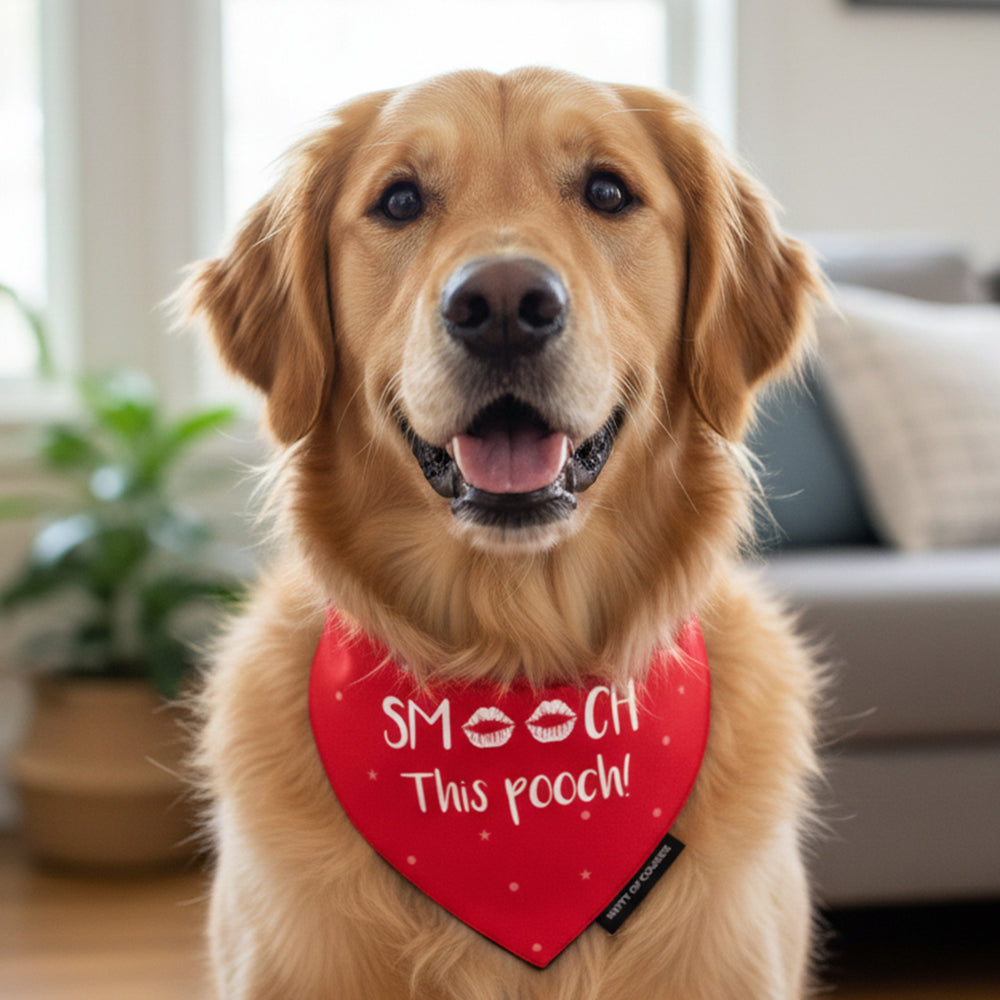 Smooch This Pooch Bandana