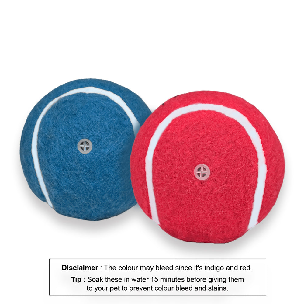 Squeaky Fetch Balls - Set of 2