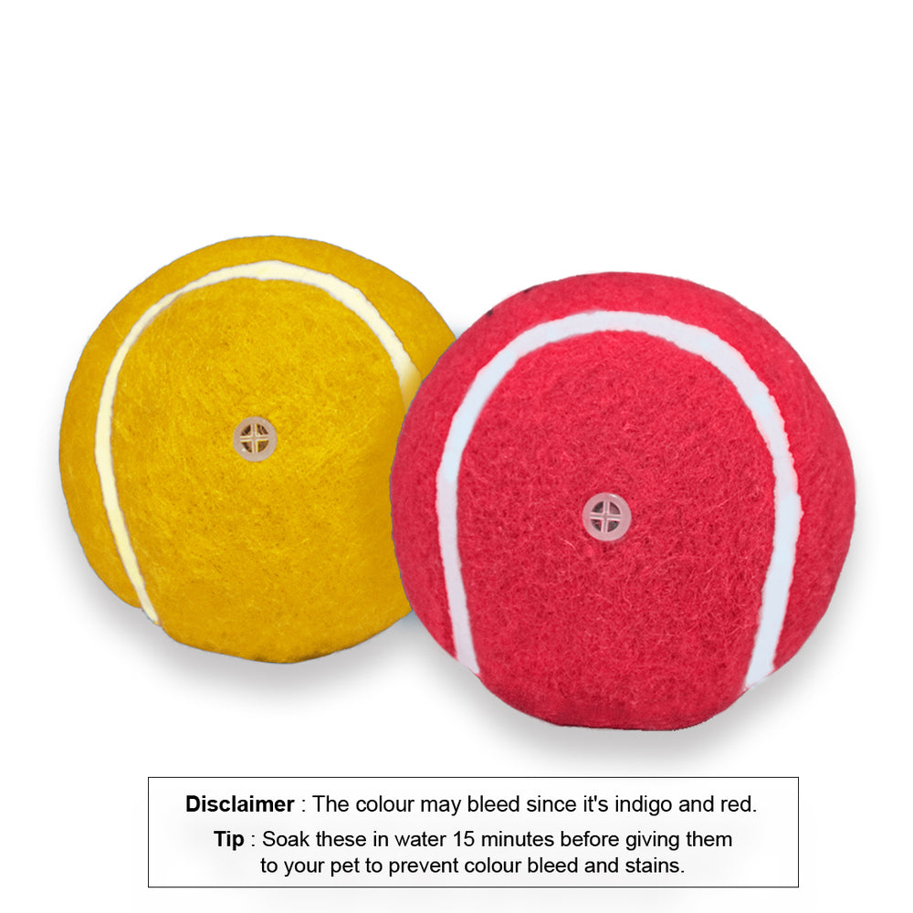 Squeaky Fetch Balls - Set of 2