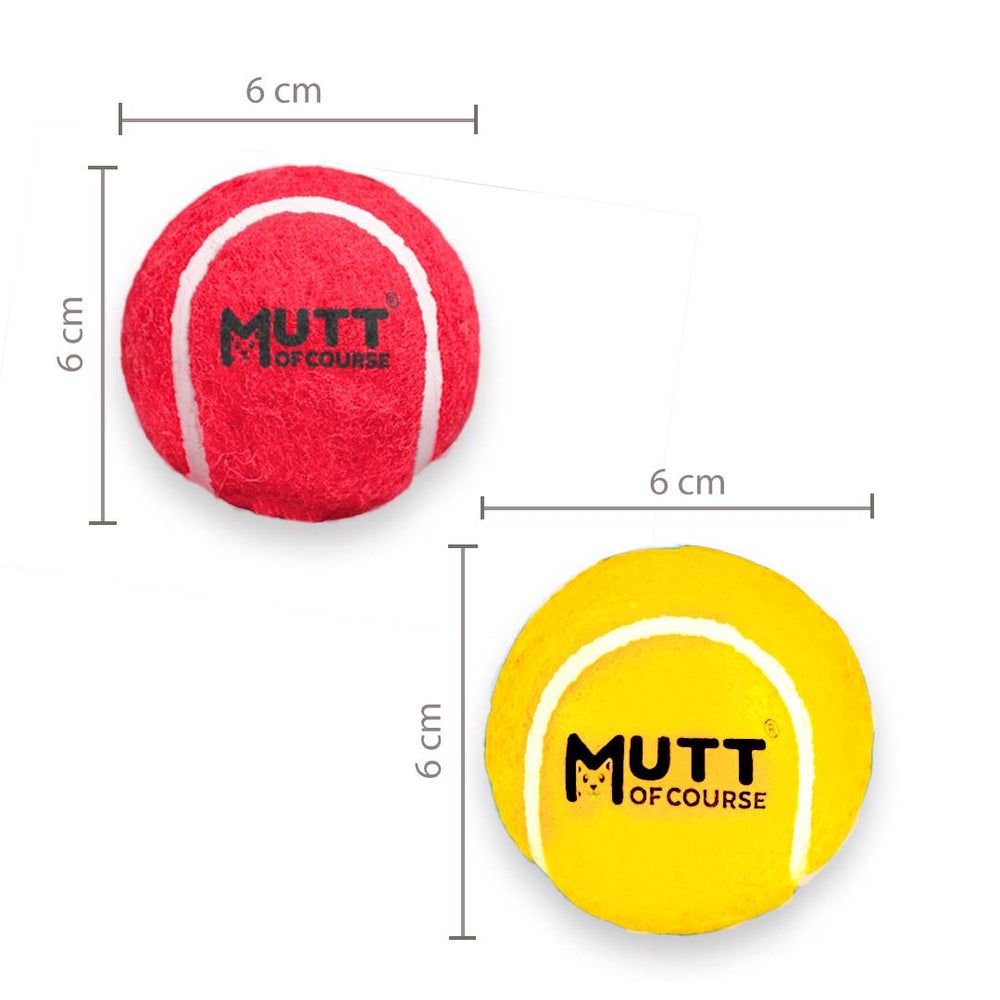 Squeaky Fetch Balls - Set of 2