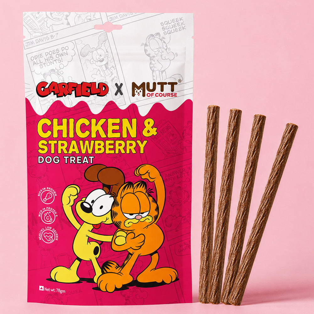 Chicken & Strawberry Dog Treats Sticks