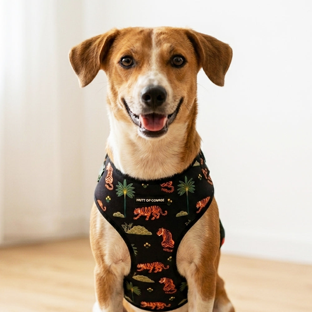 Royal Indian Tiger Vest Harness