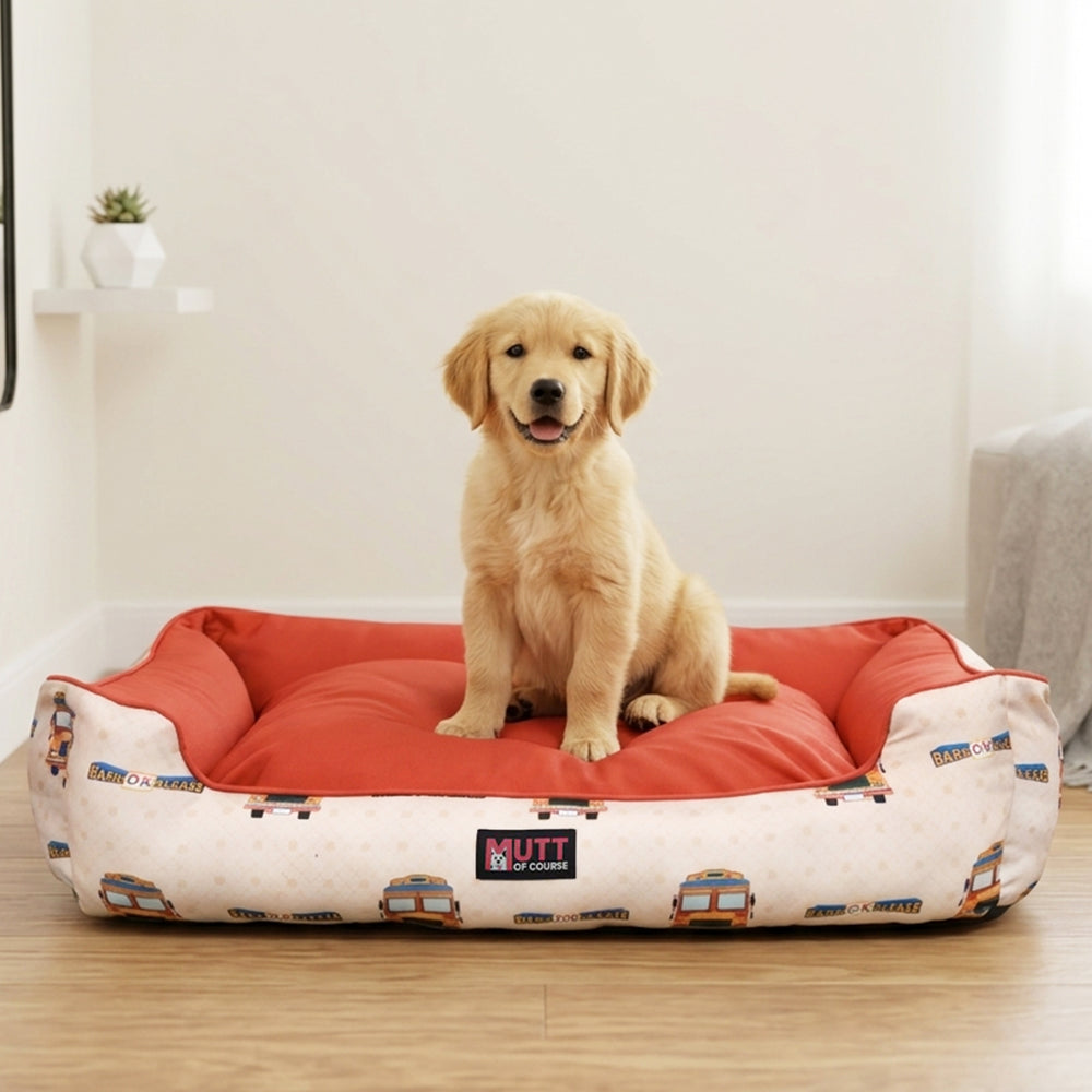 All India Pawrmit Bed