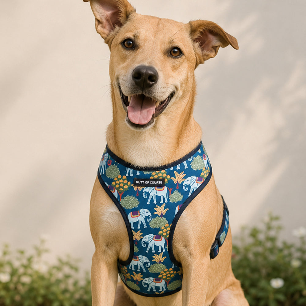 Royal Indian Elephant Vest Harness
