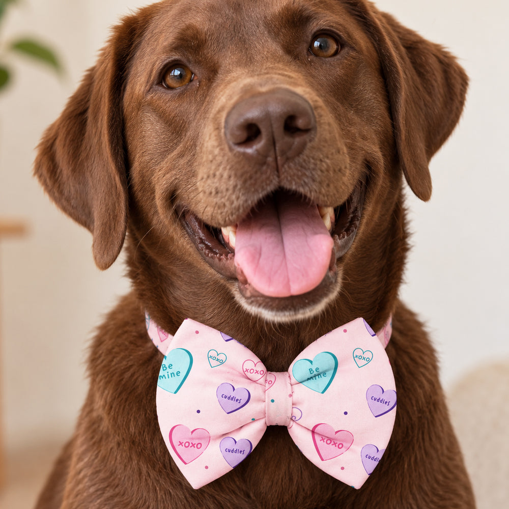 XOXO Bow Tie
