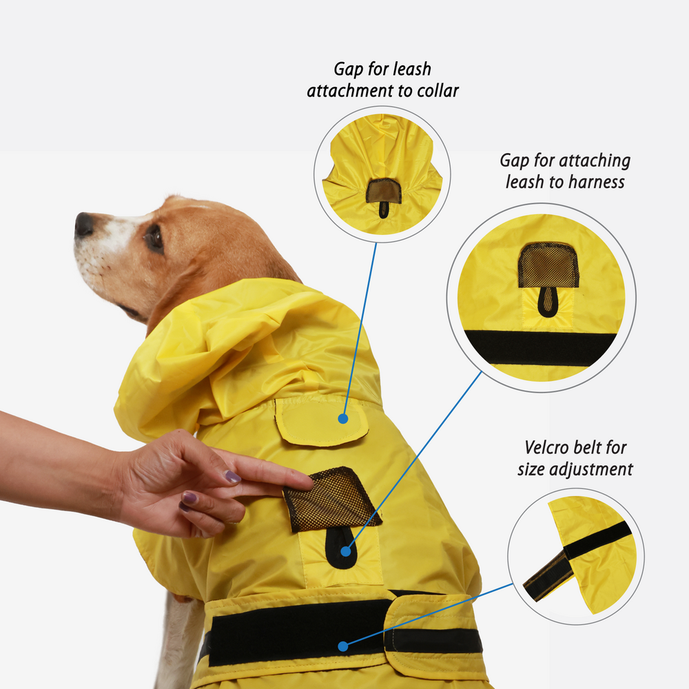 Yellow Hooded Dog Raincoat