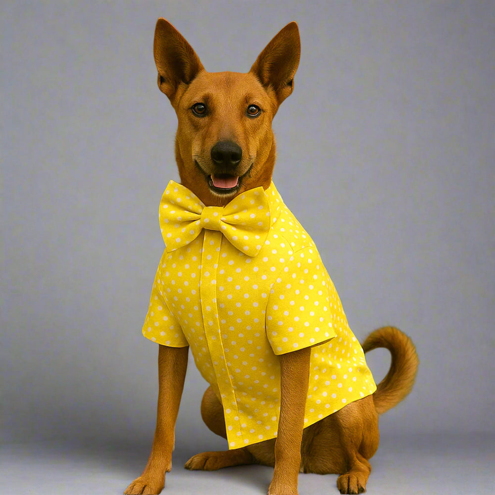 Matching Yellow Dog Shirt & Dog Bow Tie  | Adjustable Bow Tie for Dogs | Breathable Fabric Shirt for Dogs