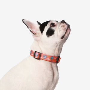 Hot Air Balloon Collar for Cats and Dogs