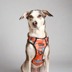 Hot Air Balloon Ruff N' Tuff Dog Harness
