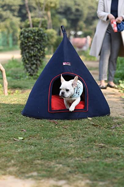 Coney Chiwa Bed - Mutt of Course