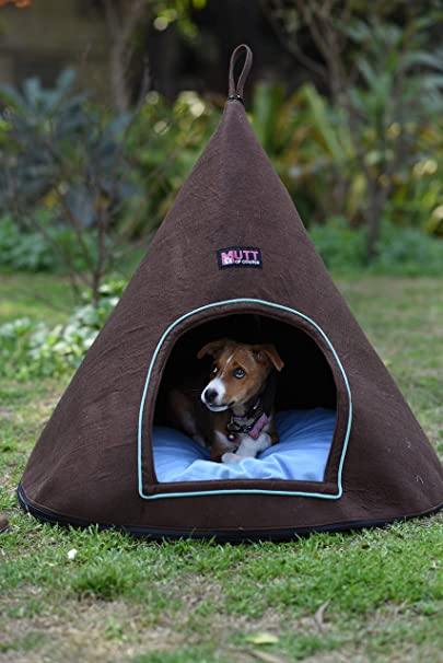 Coney Chiwa Bed - Mutt of Course