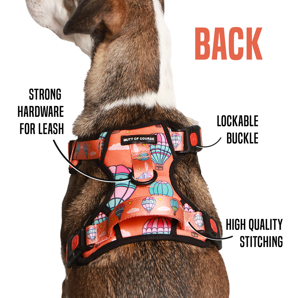 Hot Air Balloon Ruff N&