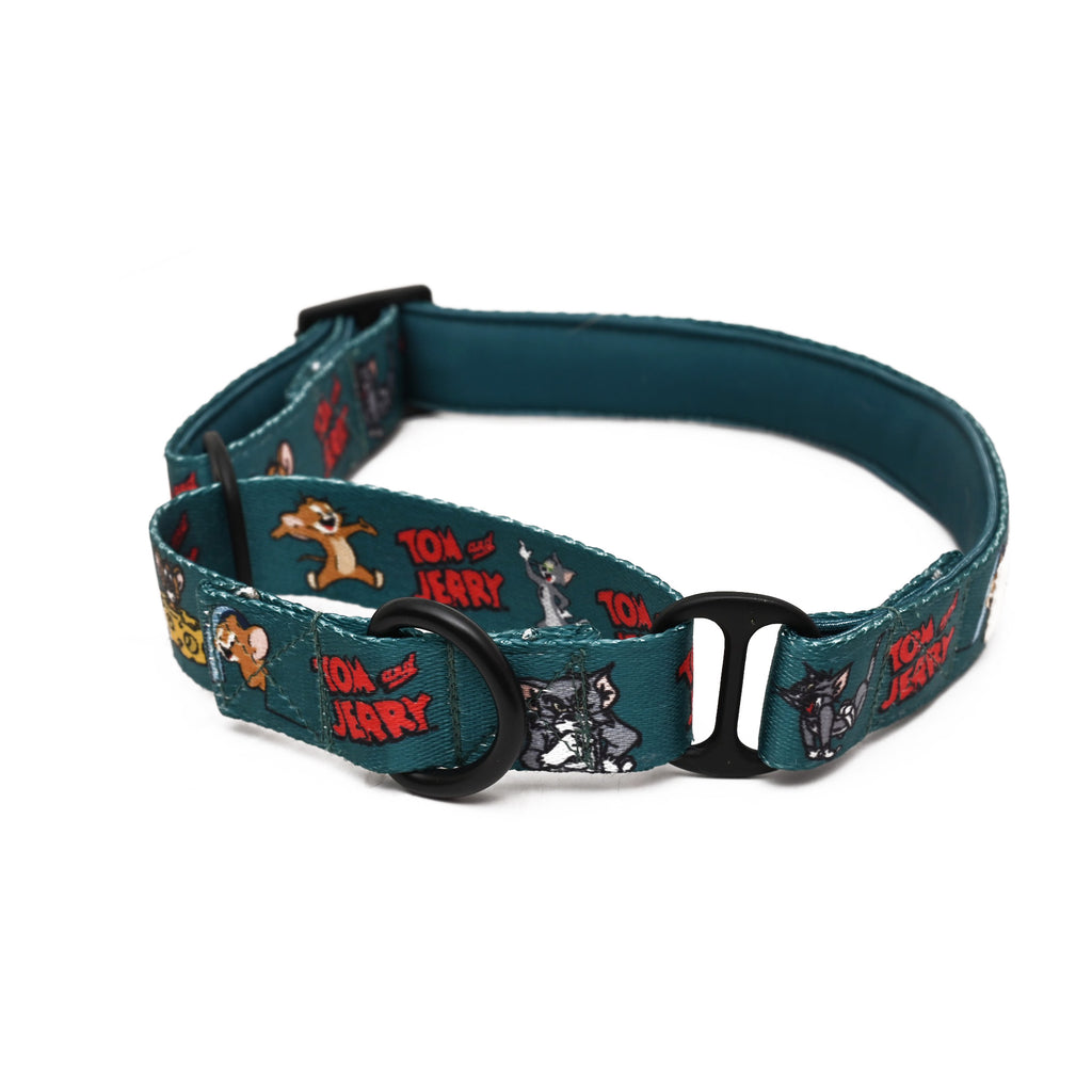 Cat sales collars martingale