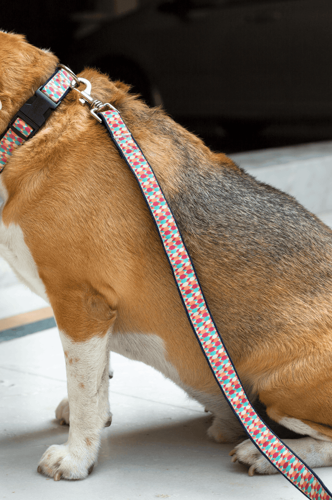 Candy Barr Leash - Mutt of Course