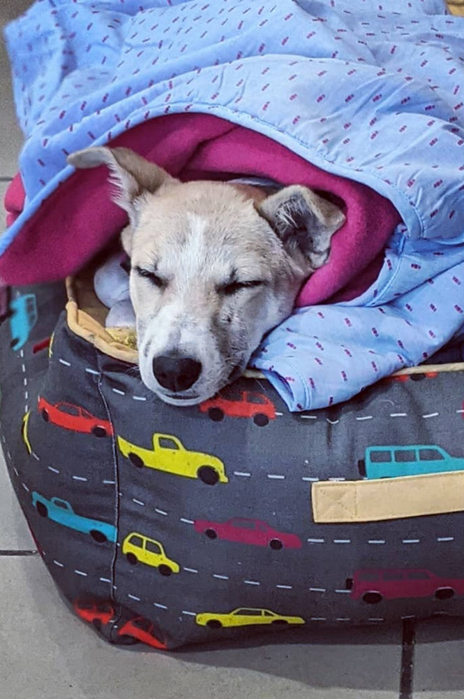 Need Fur Speed Bed - Mutt of Course