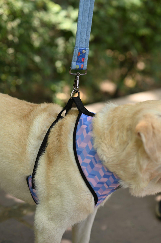 Geometrical Light Harness - Mutt of Course