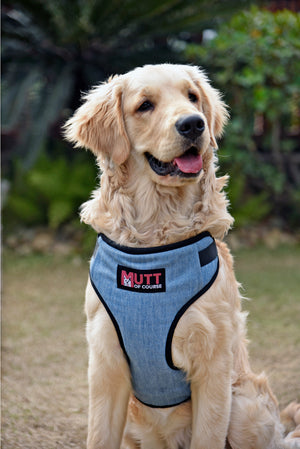 Light Blue Denim Vest Harness