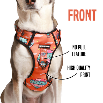 Ruff tuff dog harness outlet