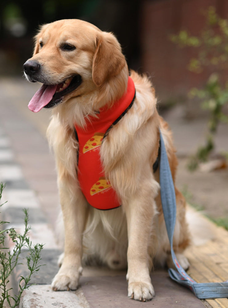 Pupperoni Harness - Mutt of Course