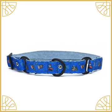 Harry potter martingale collar hotsell