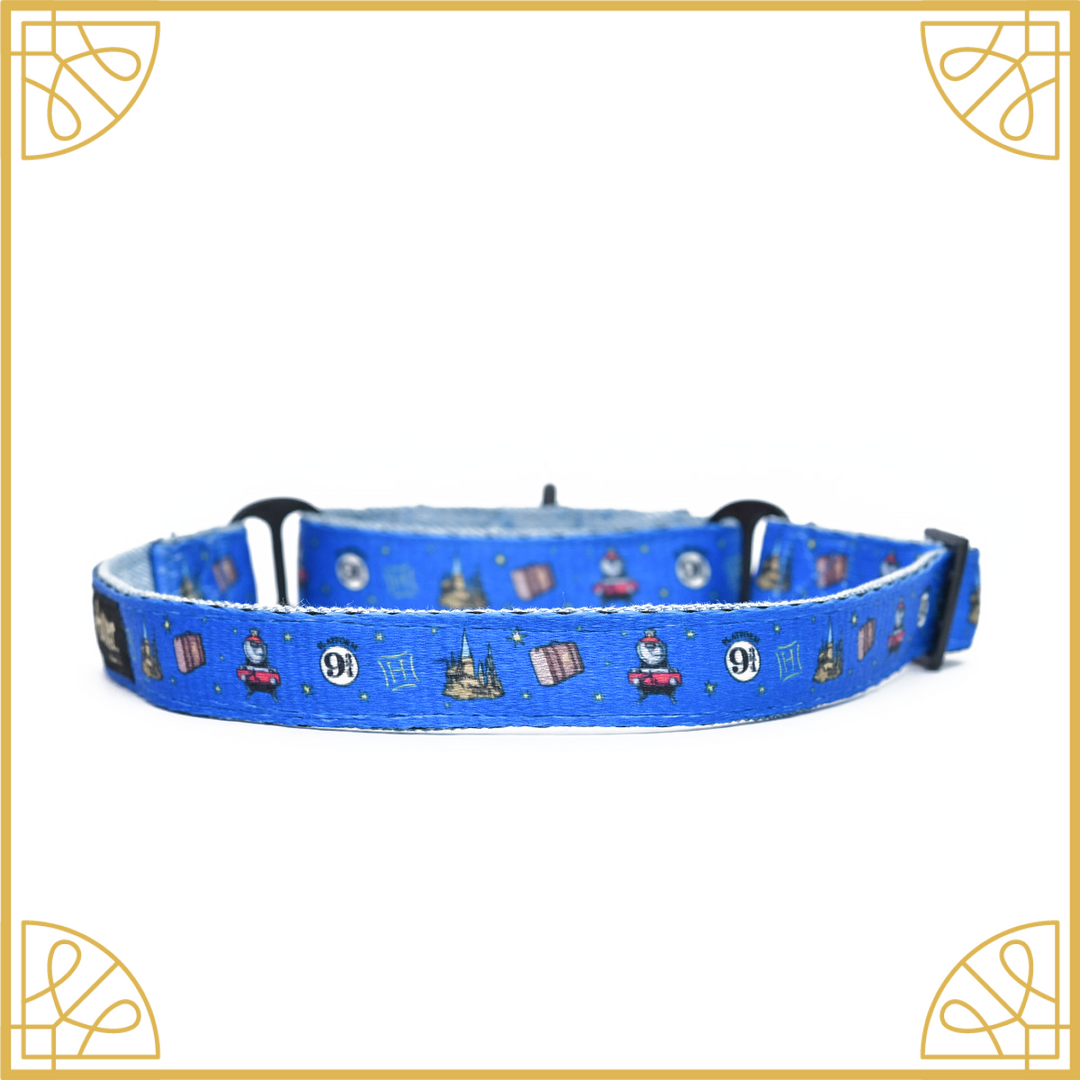 Harry potter martingale collar best sale