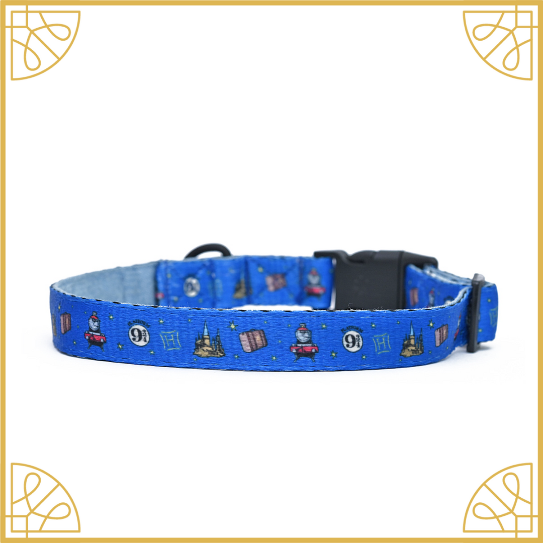 Harry potter dog sales collars
