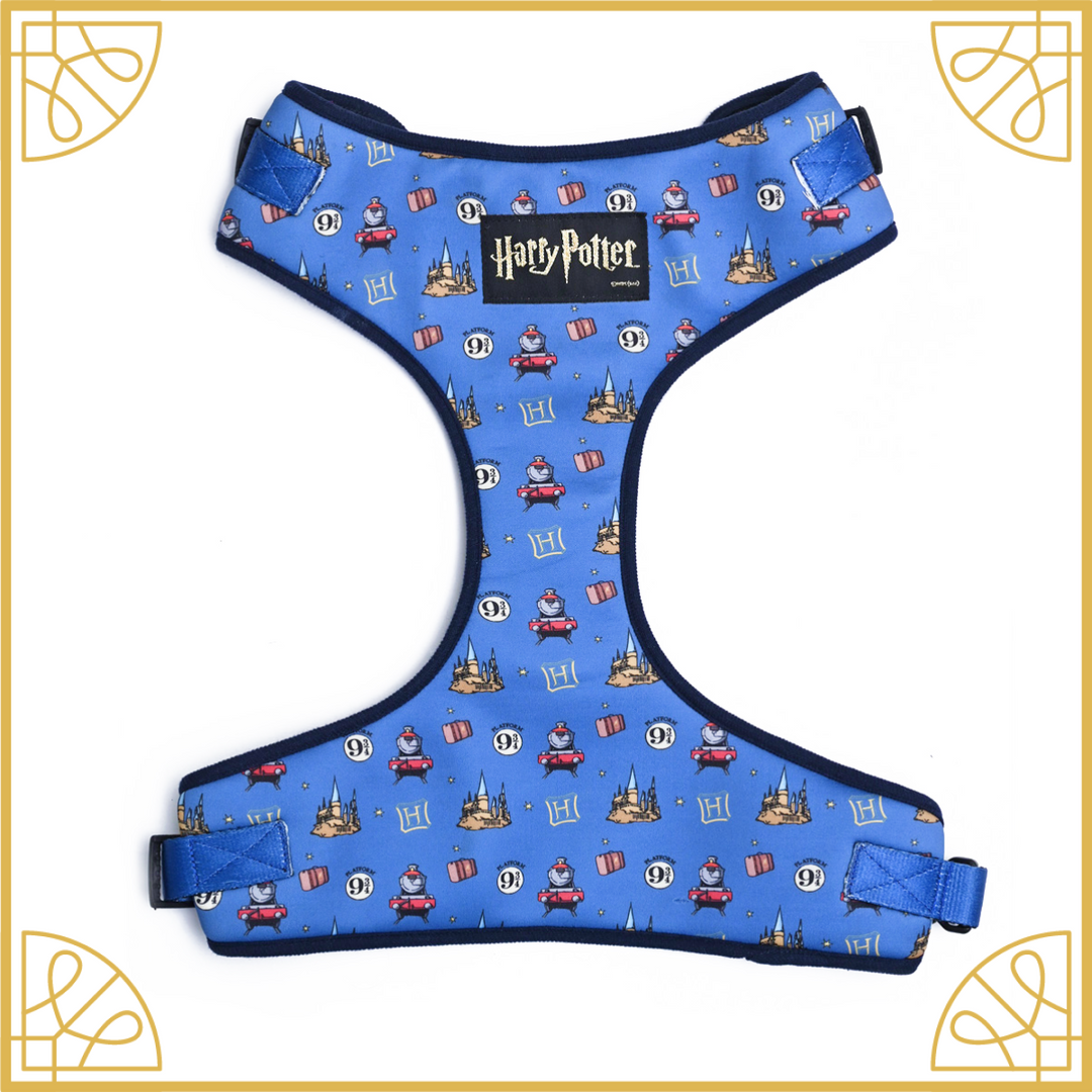 Welcome to Hogwarts Harness Harry Potter Dog Harness Mutt of Course