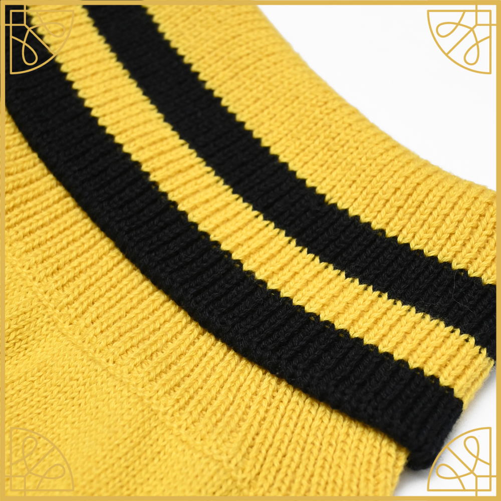 Hufflepuff 2024 dog sweater