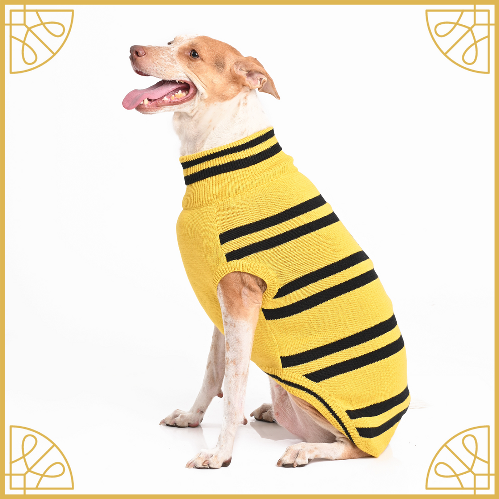 Hogwarts top dog sweater