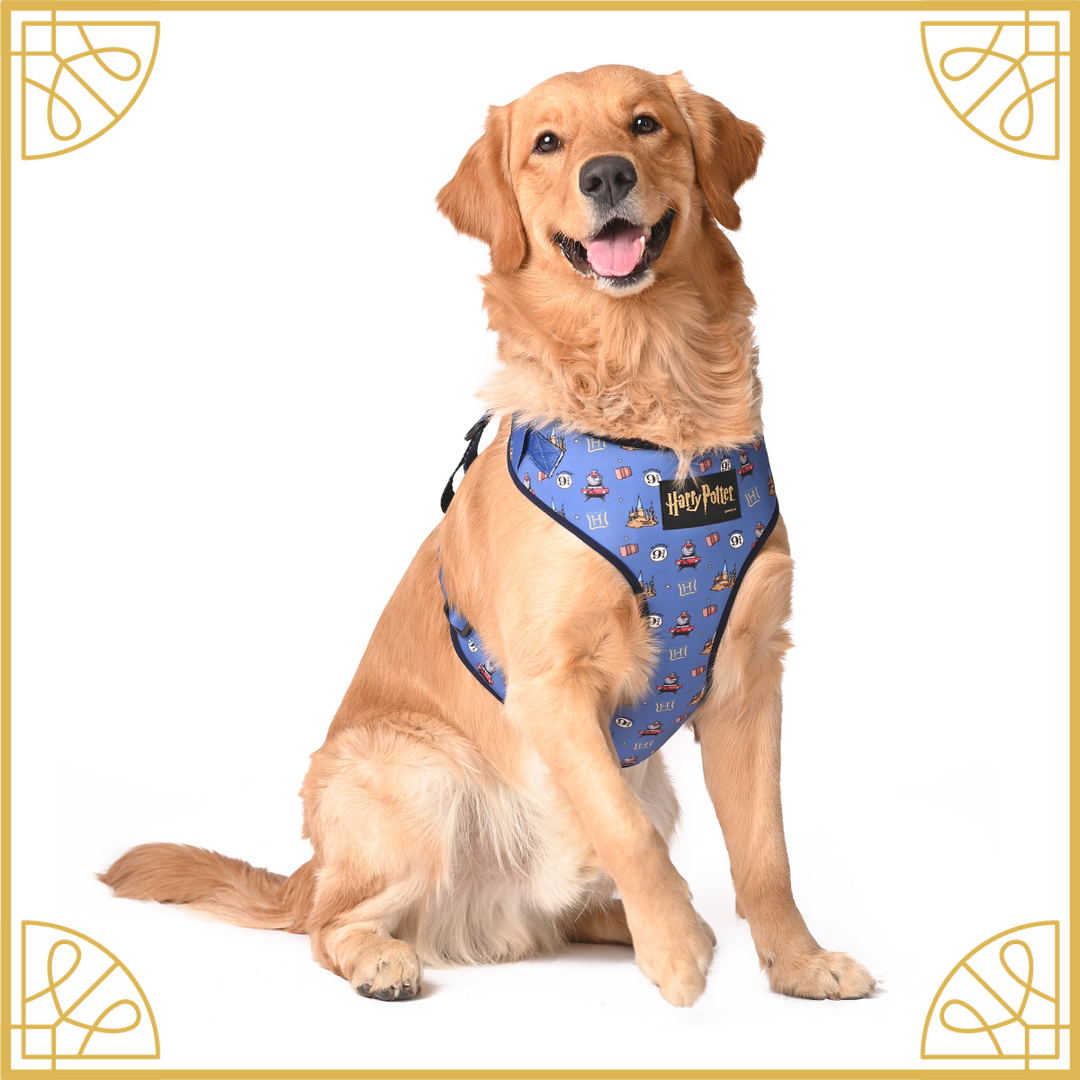 Harry potter dog harness hotsell