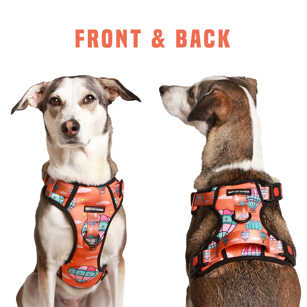 Hot Air Balloon Ruff N&