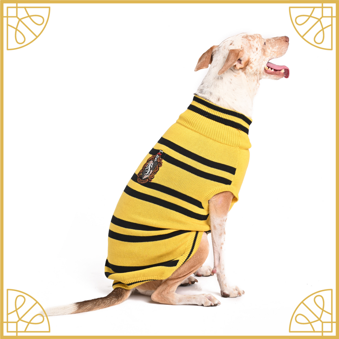 Hufflepuff cat collar deals