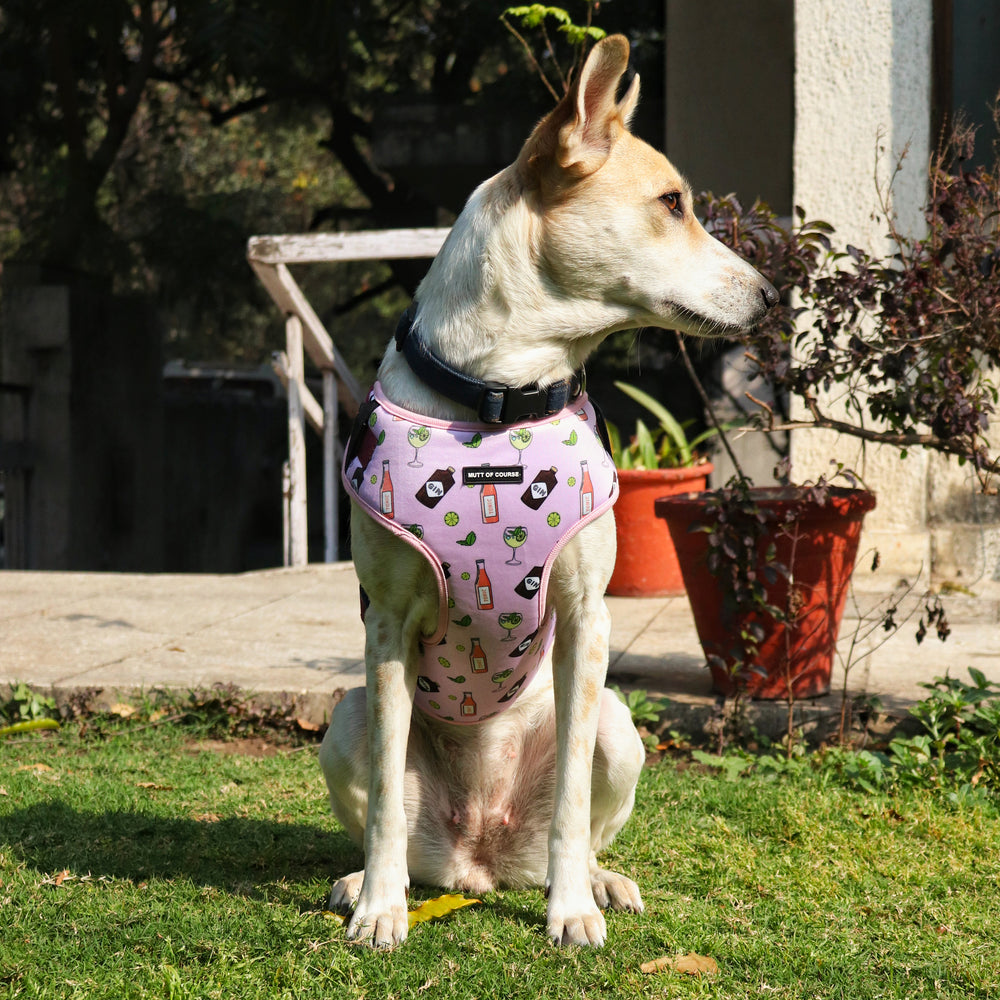 Gin and Tonic Vest Harness For Dogs