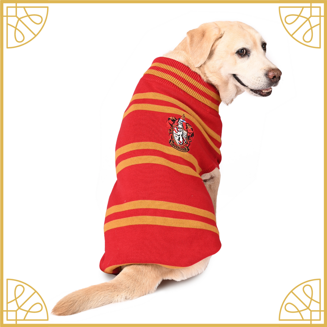 Harry Potter Gryffindor Dog Sweater by Mutt of Course