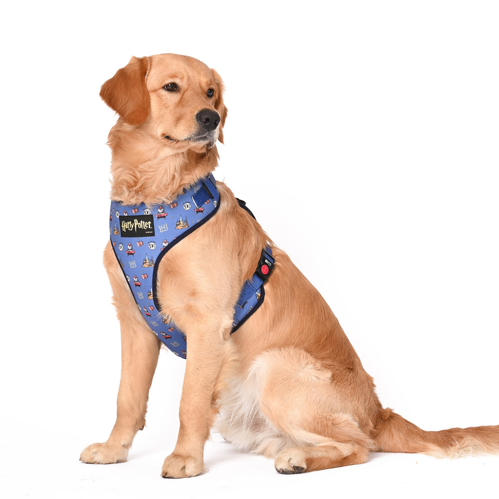 Hogwarts dog collar new arrivals