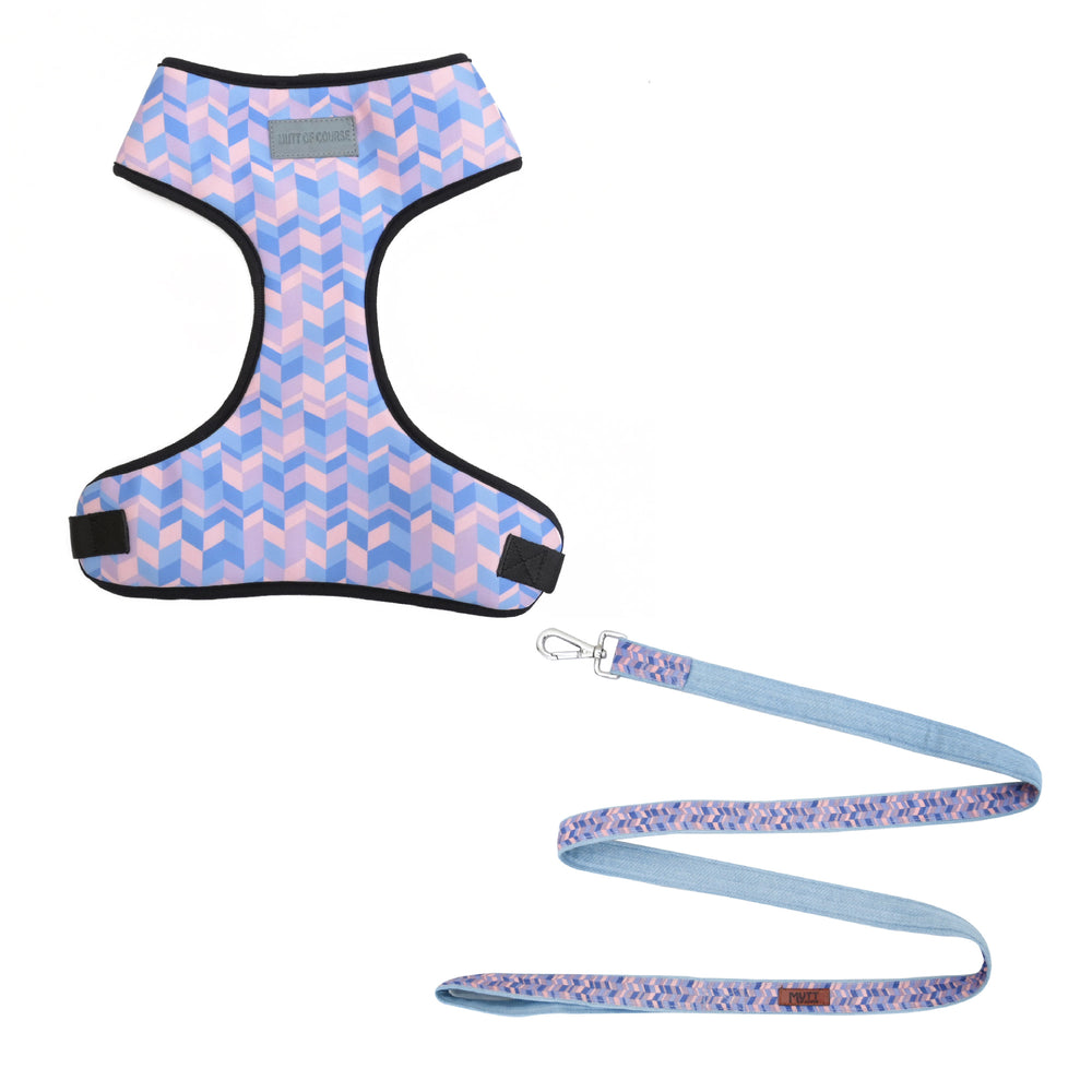 Geometrical Light Harness + Leash Set