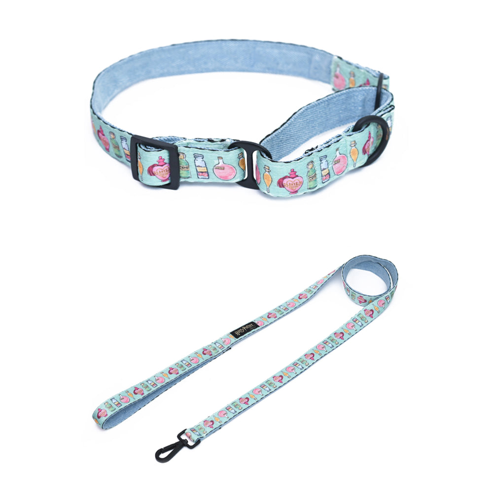 Dog Martingale Collar & Leash Combo Mutt of Course