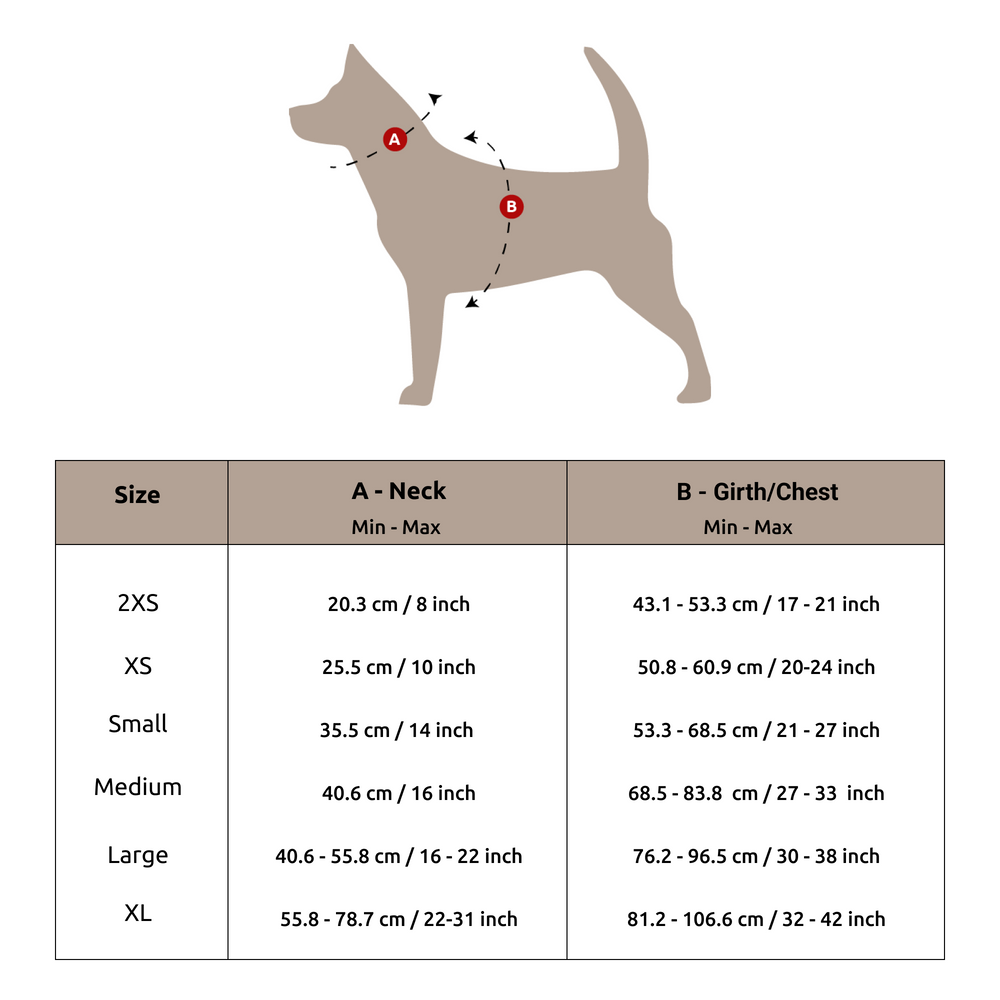 Geometrical Light Harness + Leash Set