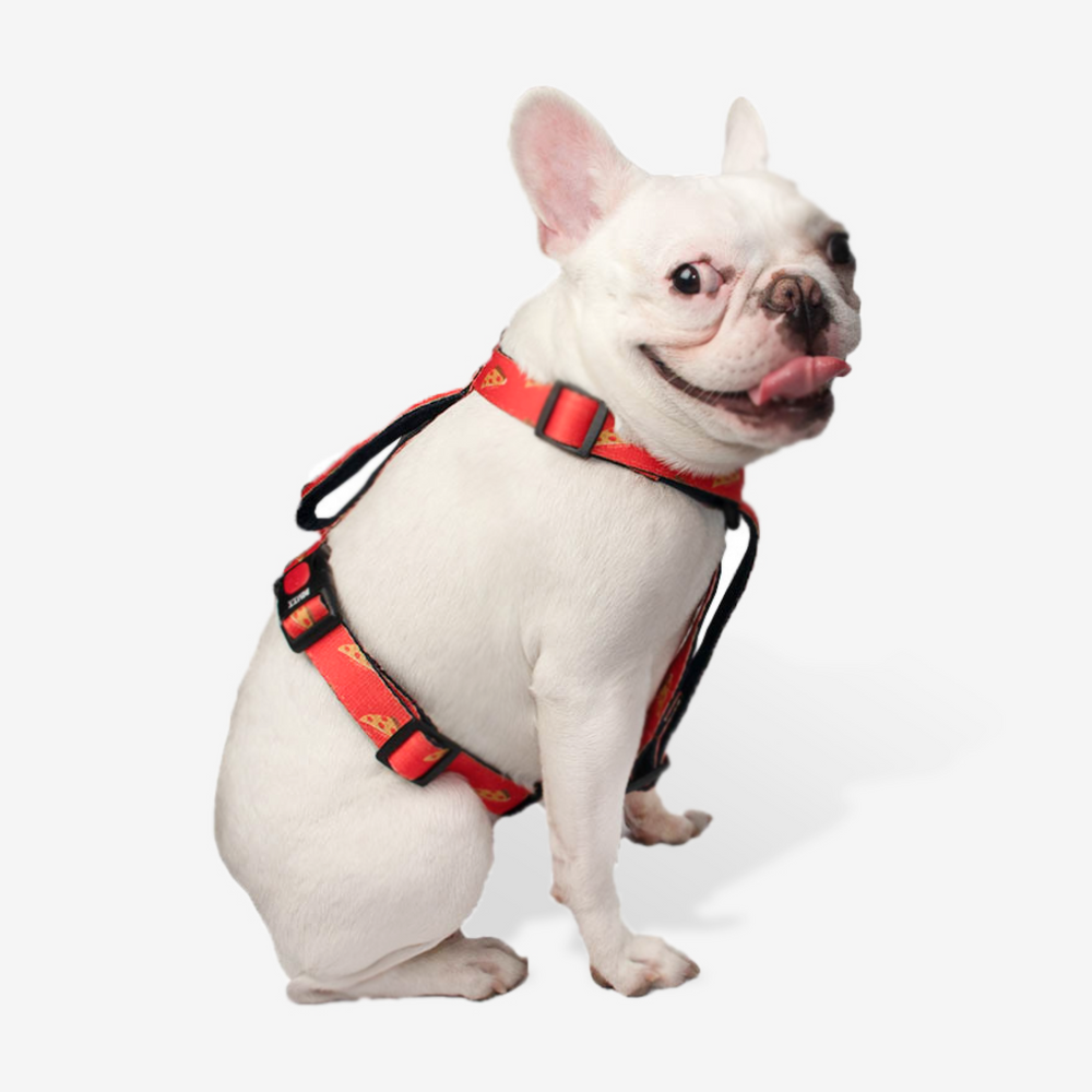 Pupperoni H Harness